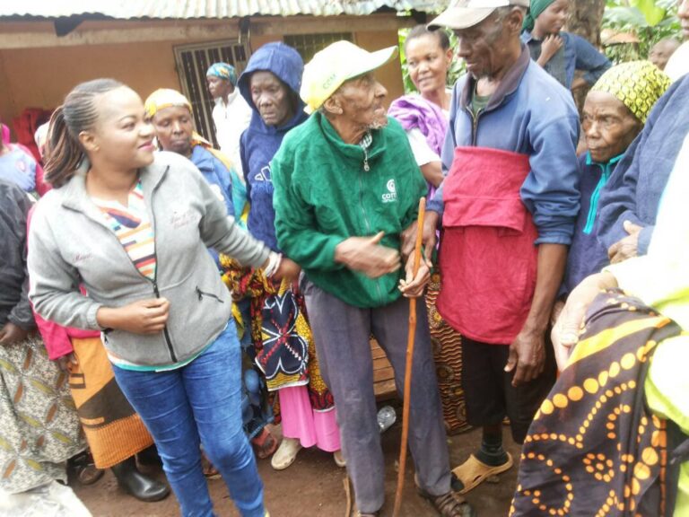 A media library picture