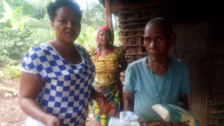 A media library picture