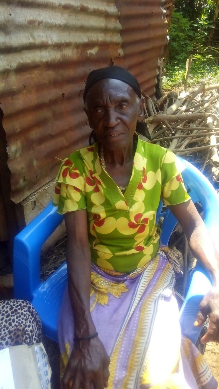 A media library picture